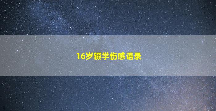 16岁辍学伤感语录