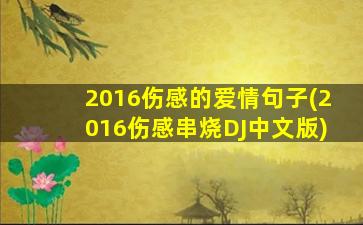 2016伤感的爱情句子(2016伤感串烧DJ中文版)