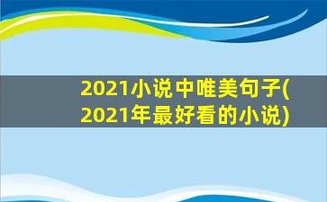 2021小说中唯美句子(2021年最好看的小说)