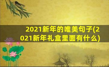 2021新年的唯美句子(2021新年礼盒里面有什么)