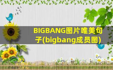 BIGBANG图片唯美句子(bigbang成员图)