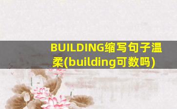 BUILDING缩写句子温柔(building可数吗)