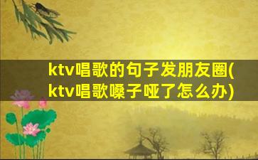 ktv唱歌的句子发朋友圈(ktv唱歌嗓子哑了怎么办)