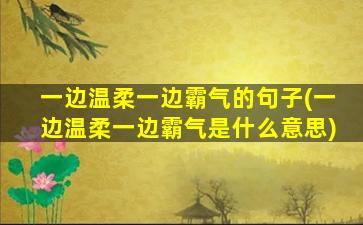 一边温柔一边霸气的句子(一边温柔一边霸气是什么意思)