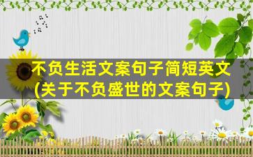 不负生活文案句子简短英文(关于不负盛世的文案句子)