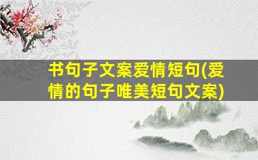 书句子文案爱情短句(爱情的句子唯美短句文案)