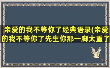 亲爱的我不等你了经典语录(亲爱的我不等你了先生你那一脚太重了)