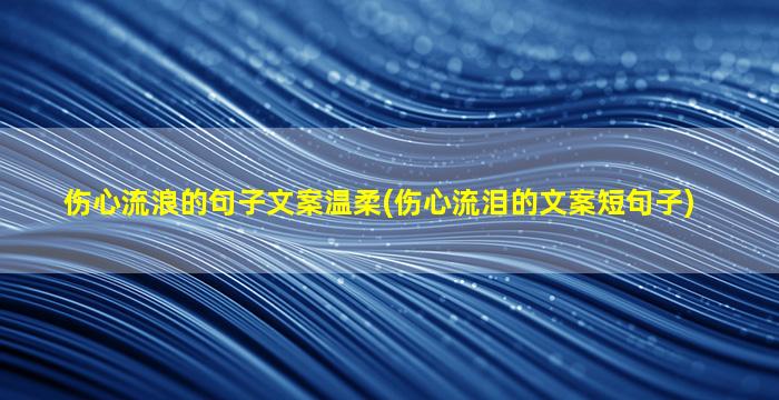 伤心流浪的句子文案温柔(伤心流泪的文案短句子)