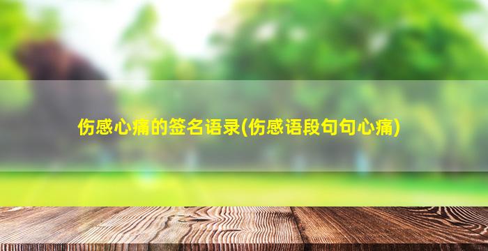 伤感心痛的签名语录(伤感语段句句心痛)