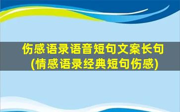 伤感语录语音短句文案长句(情感语录经典短句伤感)