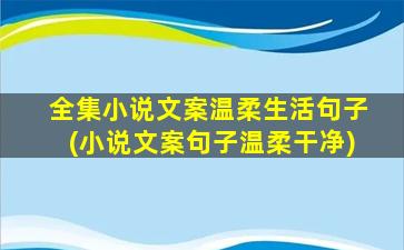 全集小说文案温柔生活句子(小说文案句子温柔干净)