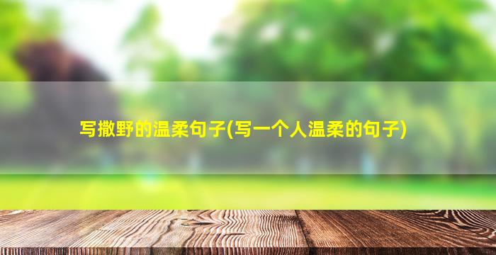 写撒野的温柔句子(写一个人温柔的句子)