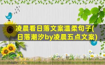 凌晨看日落文案温柔句子(日落潮汐by凌晨五点文案)