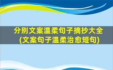 分别文案温柔句子摘抄大全(文案句子温柔治愈短句)