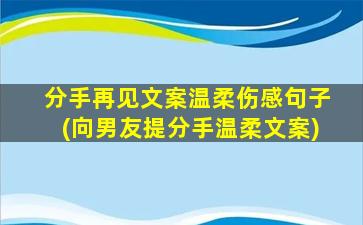 分手再见文案温柔伤感句子(向男友提分手温柔文案)