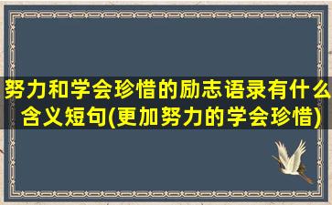 努力和学会珍惜的励志语录有什么含义短句(更加努力的学会珍惜)