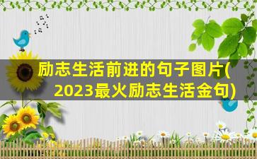 励志生活前进的句子图片(2023最火励志生活金句)