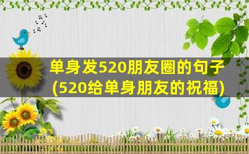 单身发520朋友圈的句子(520给单身朋友的祝福)