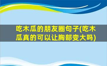 吃木瓜的朋友圈句子(吃木瓜真的可以让胸部变大吗)