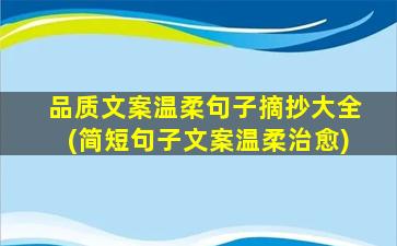 品质文案温柔句子摘抄大全(简短句子文案温柔治愈)