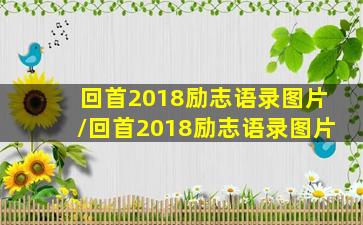 回首2018励志语录图片/回首2018励志语录图片