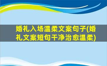 婚礼入场温柔文案句子(婚礼文案短句干净治愈温柔)