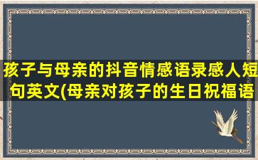 孩子与母亲的抖音情感语录感人短句英文(母亲对孩子的生日祝福语抖音)