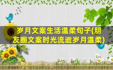 岁月文案生活温柔句子(朋友圈文案时光流逝岁月温柔)