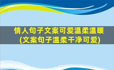 情人句子文案可爱温柔温暖(文案句子温柔干净可爱)