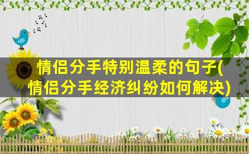 情侣分手特别温柔的句子(情侣分手经济纠纷如何解决)