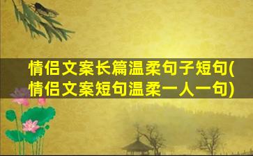 情侣文案长篇温柔句子短句(情侣文案短句温柔一人一句)