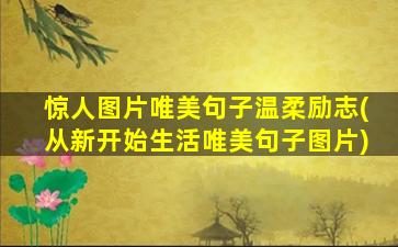 惊人图片唯美句子温柔励志(从新开始生活唯美句子图片)