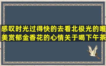 感叹时光过得快的去看北极光的唯美赏郁金香花的心情关于喝下午茶的描述人离不开手机关于越野摩托车的放手吧好好的过的精辟到能毒死人的描写小嘎子外貌的写关于家庭教育的心