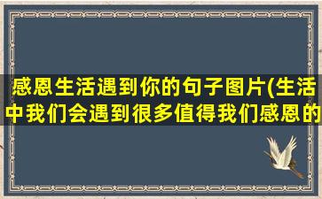 感恩生活遇到你的句子图片(生活中我们会遇到很多值得我们感恩的人)