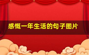 感慨一年生活的句子图片