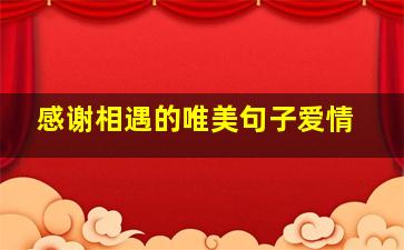 感谢相遇的唯美句子爱情