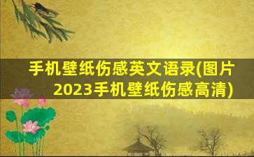 手机壁纸伤感英文语录(图片2023手机壁纸伤感高清)