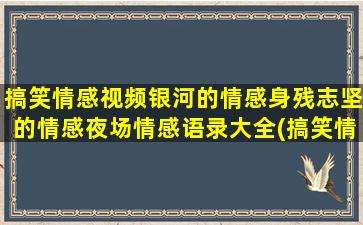 搞笑情感视频银河的情感身残志坚的情感夜场情感语录大全(搞笑情感段子视频)