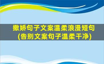 撒娇句子文案温柔浪漫短句(告别文案句子温柔干净)