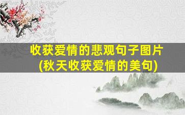 收获爱情的悲观句子图片(秋天收获爱情的美句)