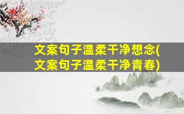 文案句子温柔干净想念(文案句子温柔干净青春)