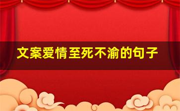 文案爱情至死不渝的句子