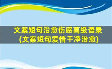 文案短句治愈伤感高级语录(文案短句爱情干净治愈)