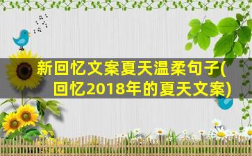 新回忆文案夏天温柔句子(回忆2018年的夏天文案)