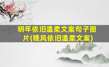 明年依旧温柔文案句子图片(晚风依旧温柔文案)