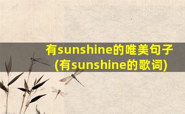 有sunshine的唯美句子(有sunshine的歌词)