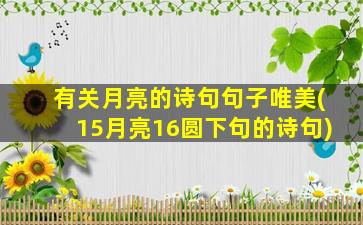 有关月亮的诗句句子唯美(15月亮16圆下句的诗句)