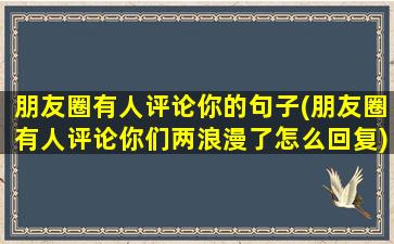 朋友圈有人评论你的句子(朋友圈有人评论你们两浪漫了怎么回复)