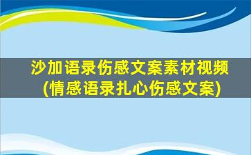 沙加语录伤感文案素材视频(情感语录扎心伤感文案)