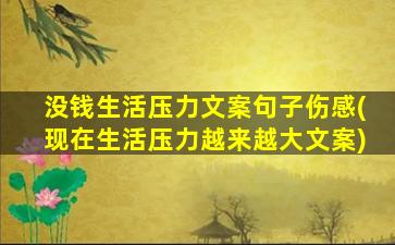 没钱生活压力文案句子伤感(现在生活压力越来越大文案)